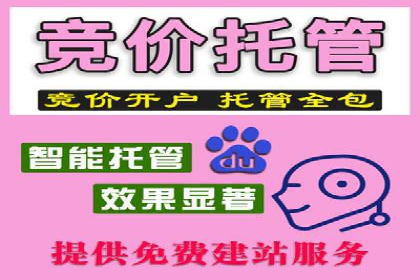 SEM服务公司助力企业增长案例